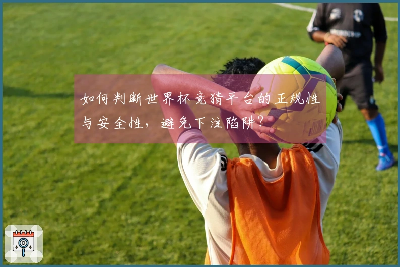 如何判断世界杯竞猜平台的正规性与安全性，避免下注陷阱？
