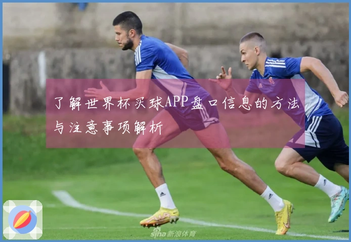 了解世界杯买球APP盘口信息的方法与注意事项解析