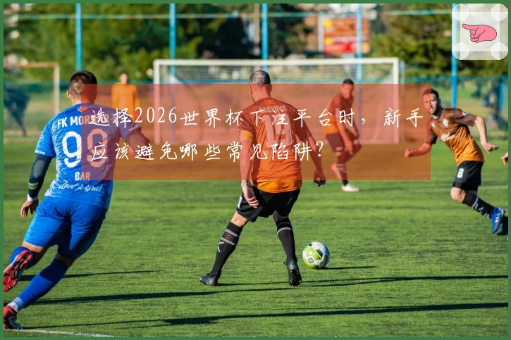 选择2026世界杯下注平台时，新手应该避免哪些常见陷阱？