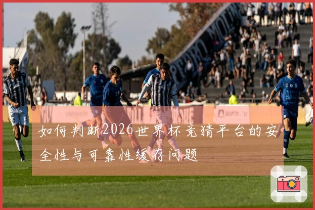 如何判断2026世界杯竞猜平台的安全性与可靠性缓存问题