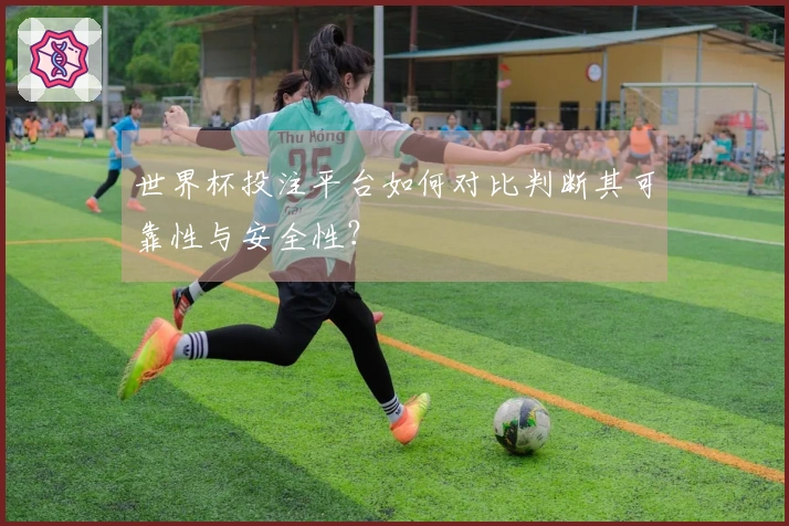 世界杯投注平台如何对比判断其可靠性与安全性？