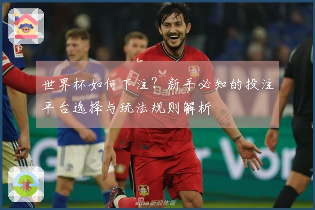 世界杯如何下注？新手必知的投注平台选择与玩法规则解析