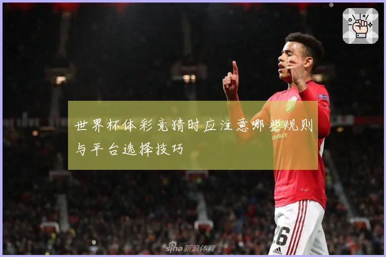 世界杯体彩竞猜时应注意哪些规则与平台选择技巧