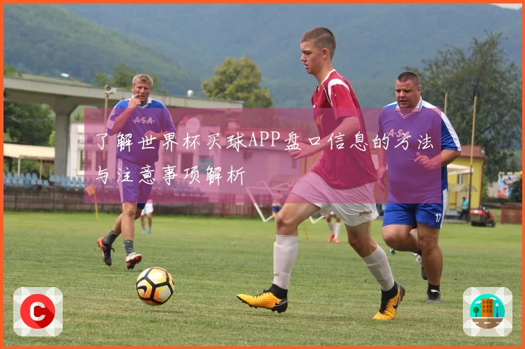 了解世界杯买球APP盘口信息的方法与注意事项解析